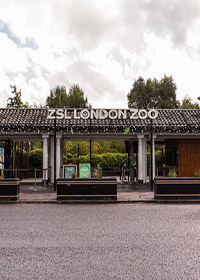 London Zoo