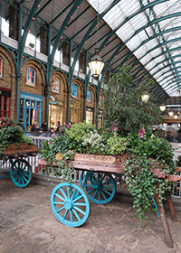 Covent Garden 
