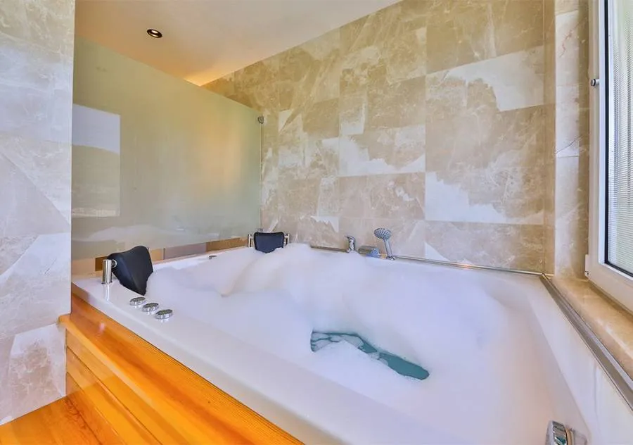 Luxury villa with a pool nestled amidst nature